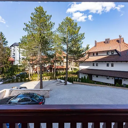 Bambi S18 - Your New Family Story *