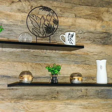 Bambi S18 - Your New Family Story