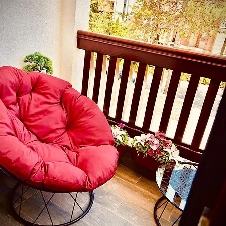 Bambi S18 - Your New Family Story * Zlatibor